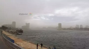 ارتفاع الحرارة وتوقعات الأمطار الأحد تؤثر على حركة الطقس وأسلوب الحياة